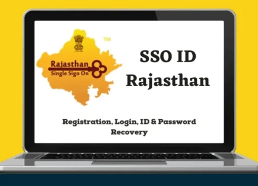 SSO login & Registration Process